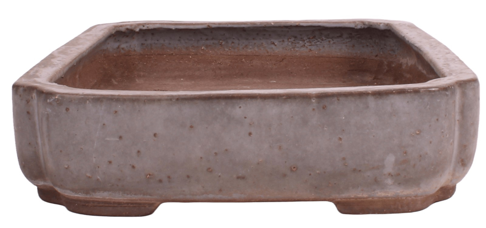 Tokoname Bonsai-Schale Yoshimura eckig 42,1×29 ×7,7cm – grau-graublau gebraucht 58003