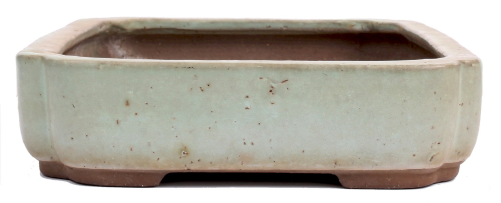 Preview: Tokoname Bonsaischale von Yoshimura - 42 x 30 x 7,7 cm - eckig - graugrün - 58010