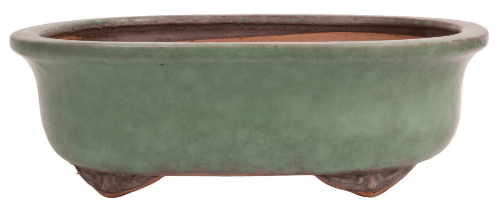 Tokoname Bonsai-Schale Syuuhou oval grün glasiert 34,5 × 27,7 × 11 cm gebraucht 58038