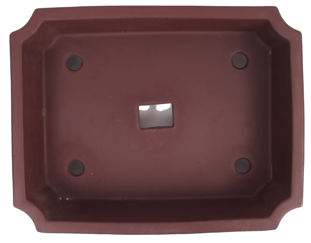 Preview: Tokoname Bonsaischale von Koyo 30,5 x 24 x 9 cm, eckig braun unglasiert  58082