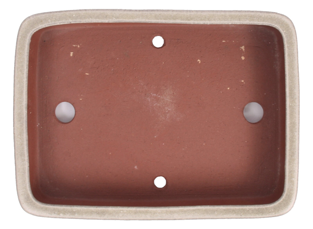 Preview: Tokoname Bonsaischale von Youzan - 30,5 x 22,5 x 6 cm - eckig - creme - 58114