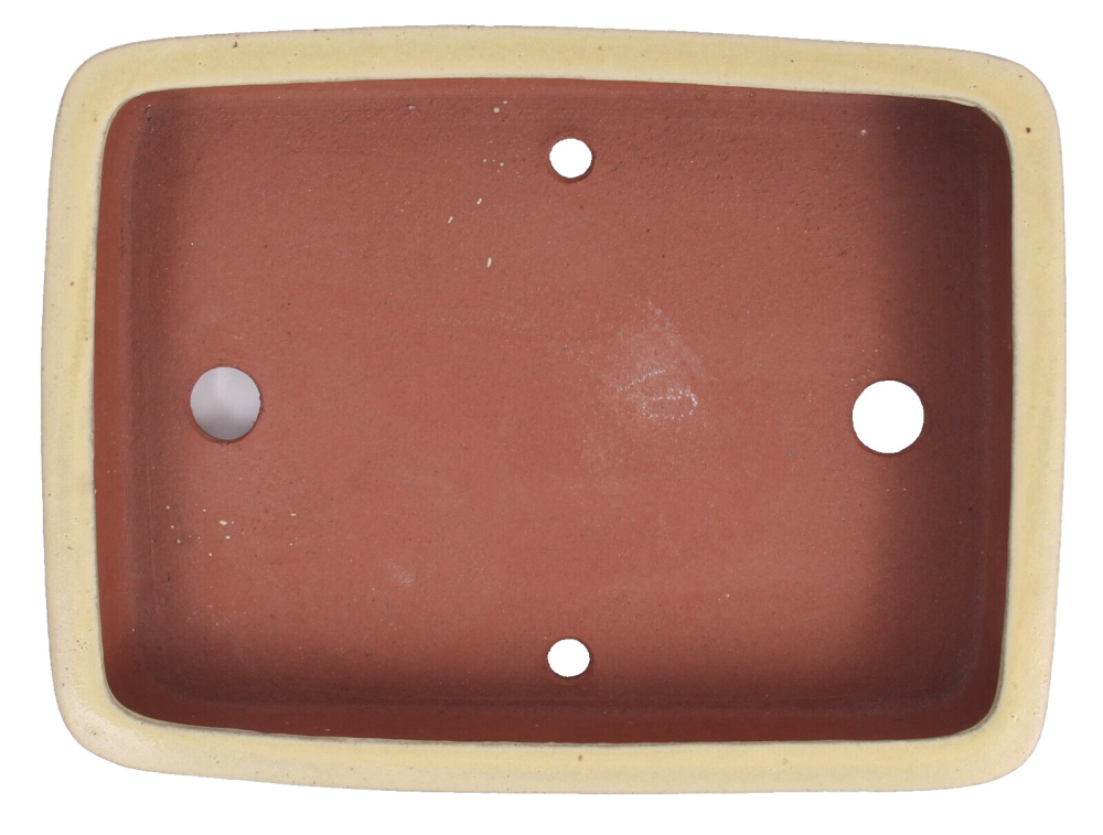 Preview: Tokoname Bonsaischale von Youzan - 30,5 x 23 x 6,2 cm - eckig - matt gelb - 58119