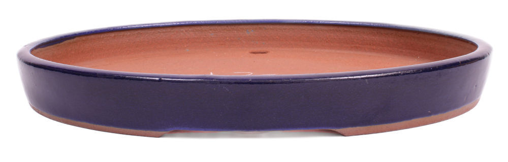 Tokoname Bonsaischale von Youzan - 36.5 x 29 x 4 cm - oval - blau - 58150