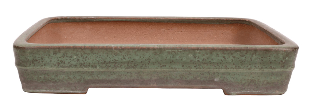 Preview: Tokoname Bonsai-Schale Yamafusa eckig grün glasiert 34,7 × 25,7 × 6,2 cm gebraucht 58157
