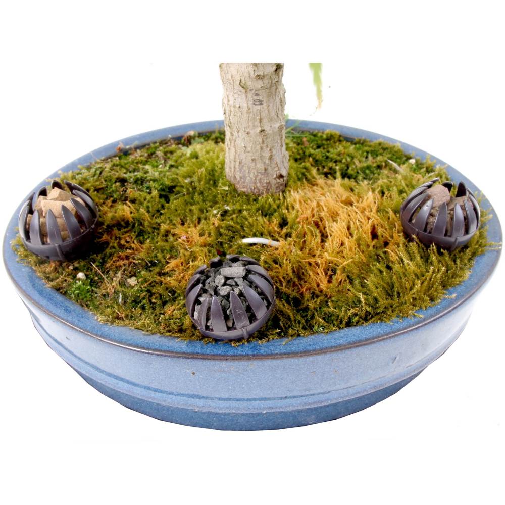 Preview: Dünger-Korb, rund mit Pin, dunkelbraun, 3,5 cm Ø  10er Pack   61007