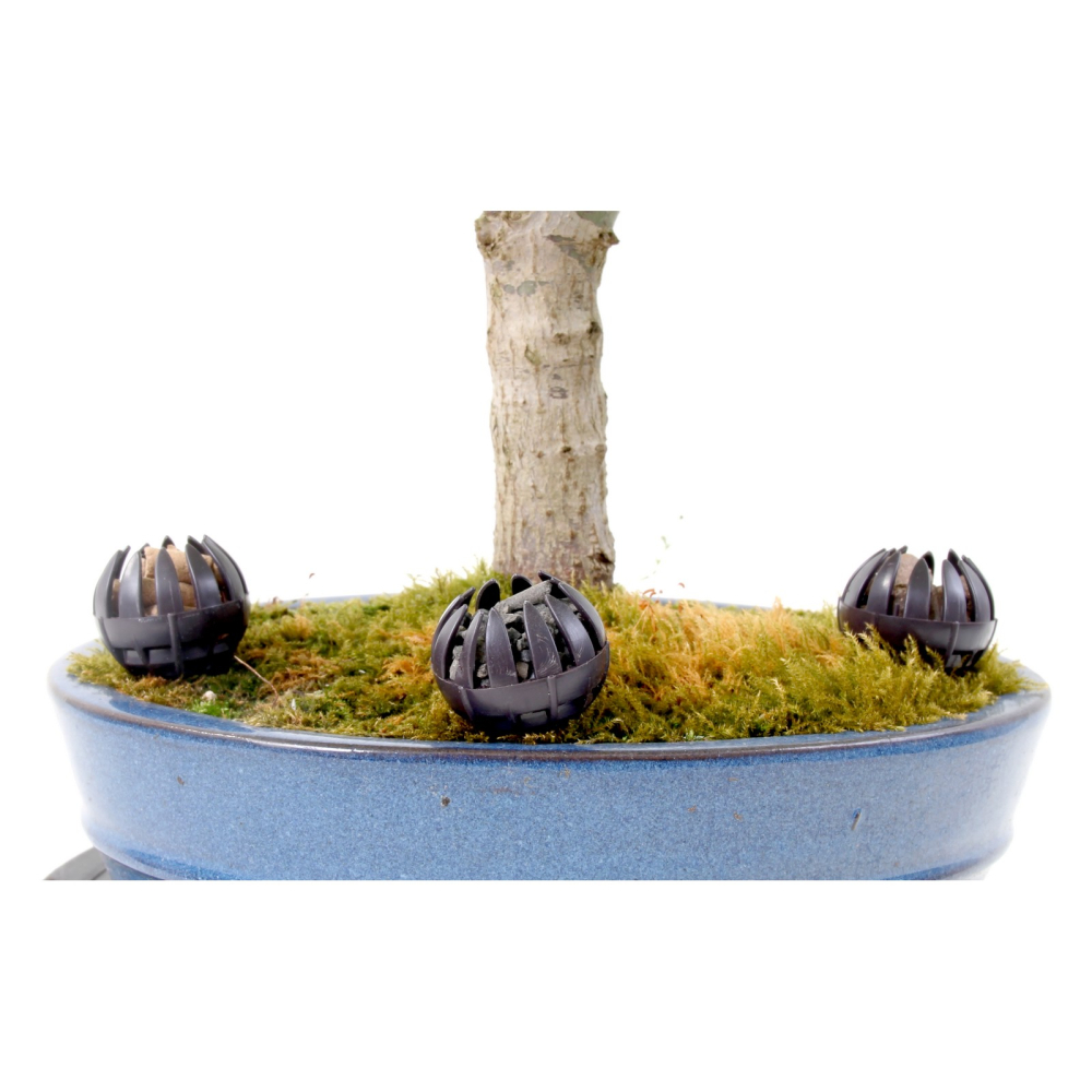 Dünger-Korb, rund mit Pin, dunkelbraun, 3,5 cm Ø  10er Pack   61007