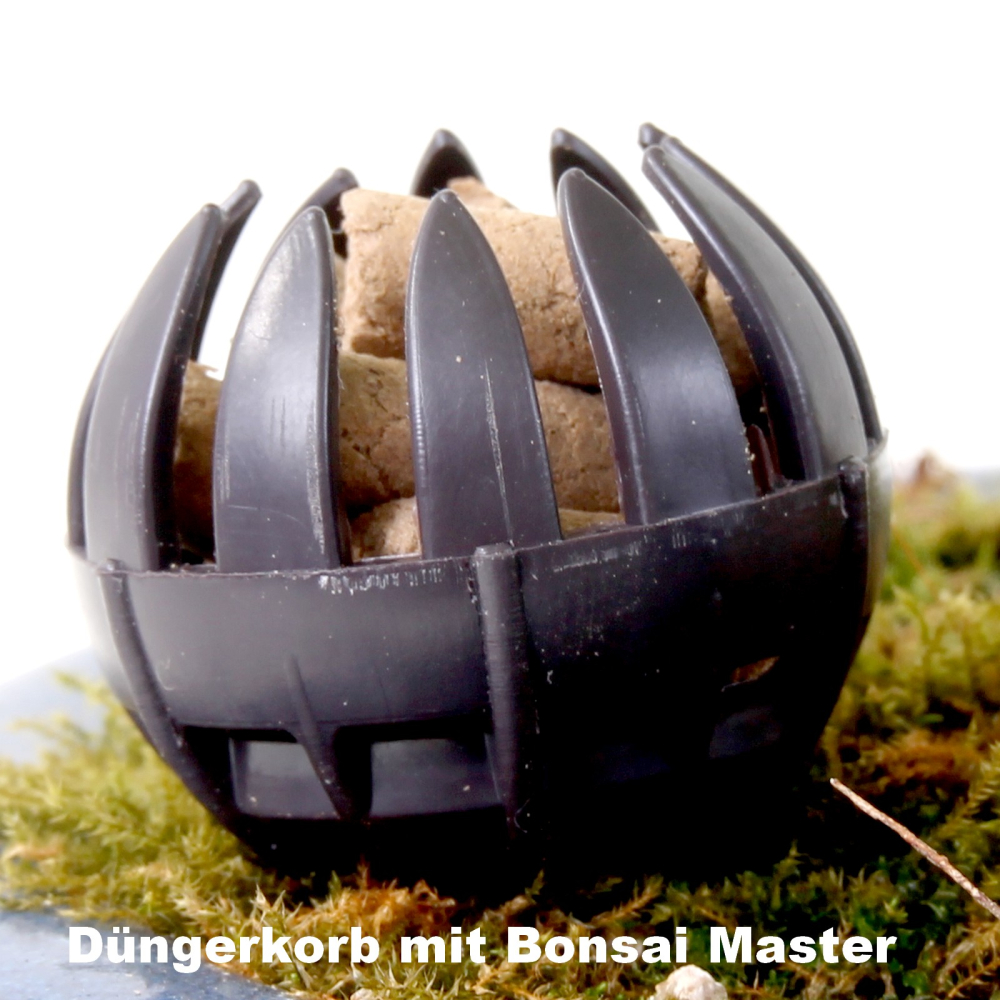 Dünger-Korb, rund mit Pin, dunkelbraun, 3,5 cm Ø  10er Pack   61007