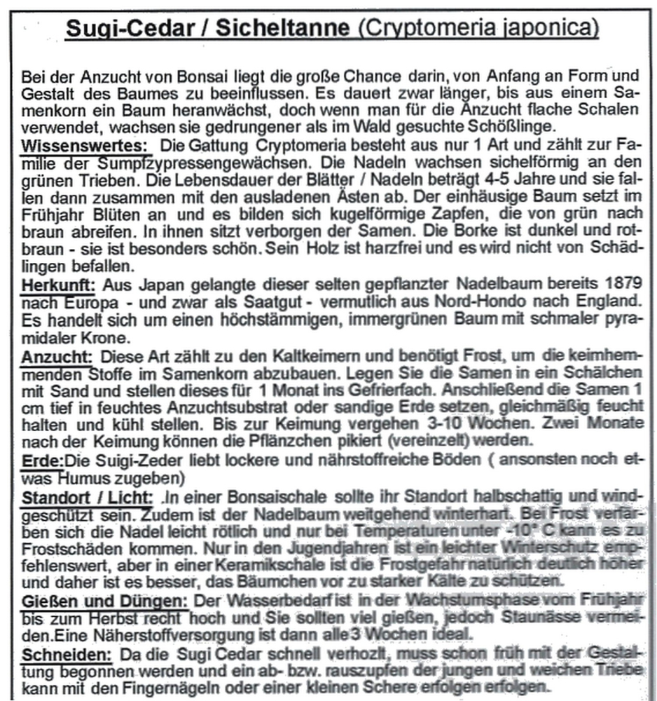 Preview: Bonsai - 100 Samen Cryptomeria japonica - Sicheltanne  90107