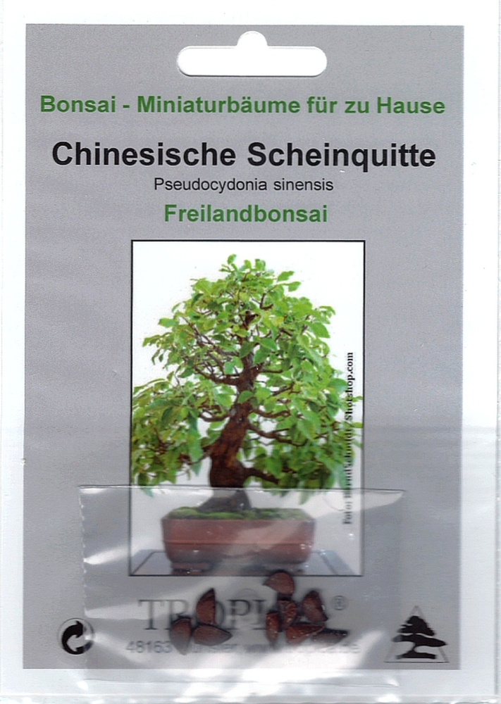 Bonsai - 10 Samen Chinesische Scheinquitte, Pseudocydonia sinensis   90109