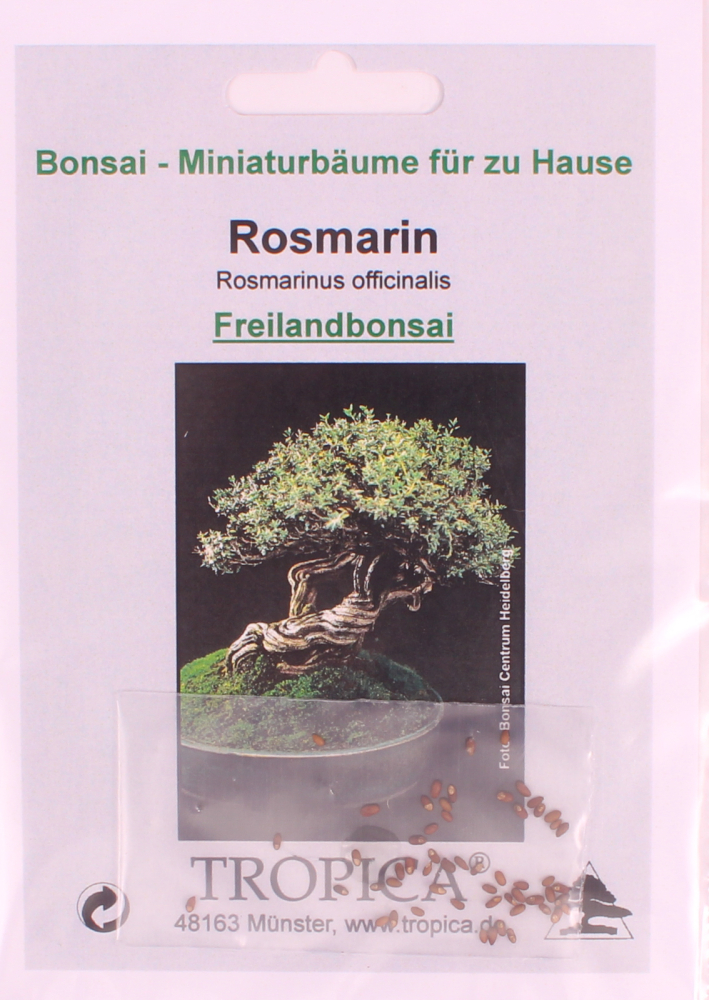 Bonsai - 35 Samen Rosmarinus officinalis - Rosmarin 90133