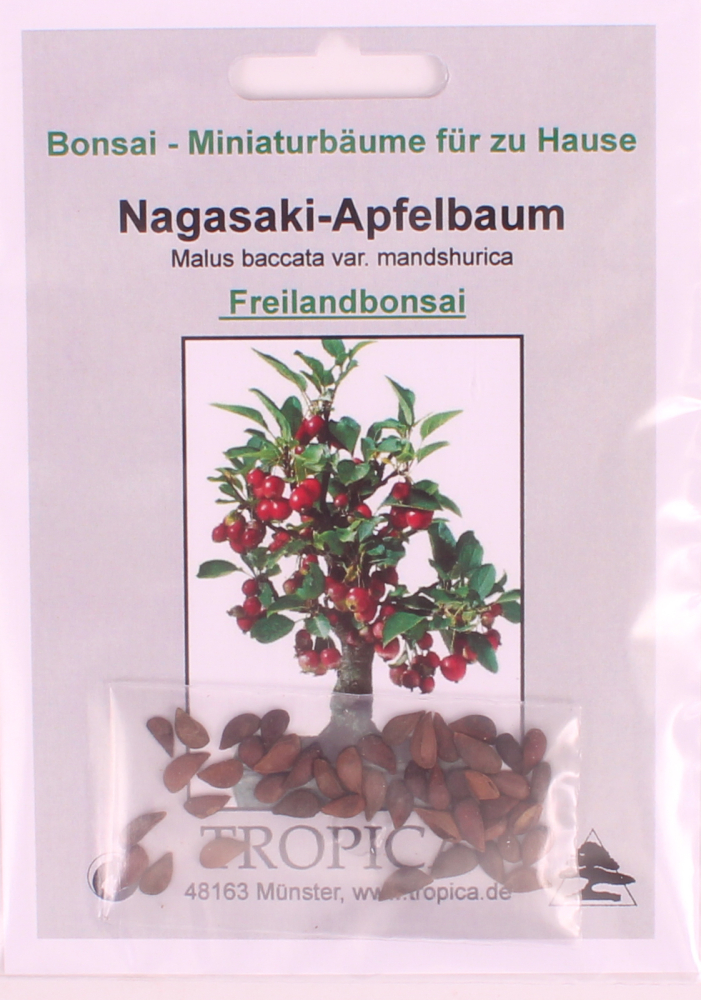 Bonsai - 30 Samen Malus baccata var. mandshurica - Nagasaki-Apfelbaum 90134