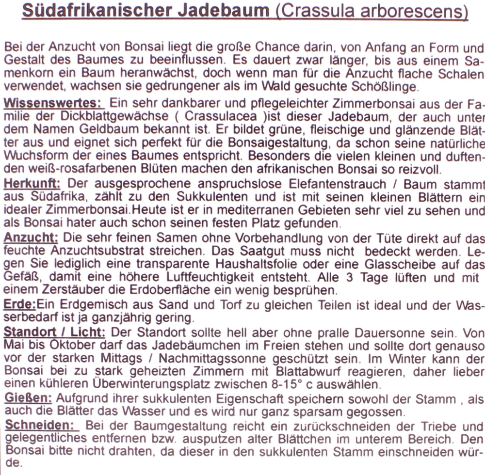 Preview: Bonsai - 50 Samen Crassula arborecens - Südafrikanischer Jadebaum 90136