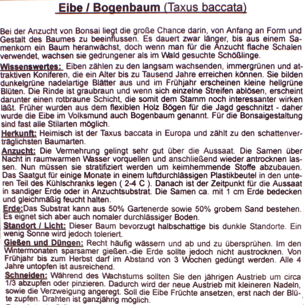 Preview: Bonsai - 10 Samen Taxus baccata - Gemeine Eibe, Europäische Eibe 90138