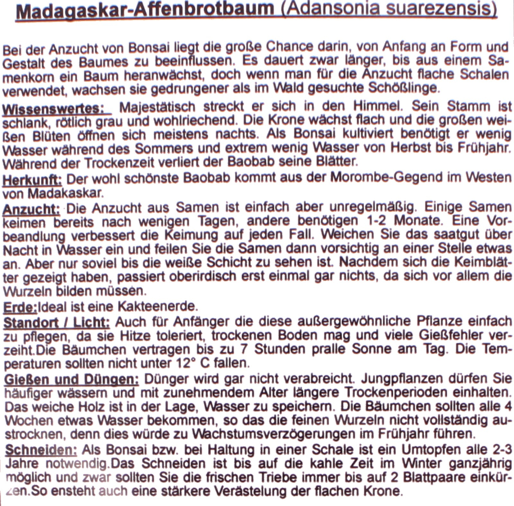Preview: Bonsai - 4 Samen Adansonia suarezensis - Madagaskar Affenbrotbaum 90148