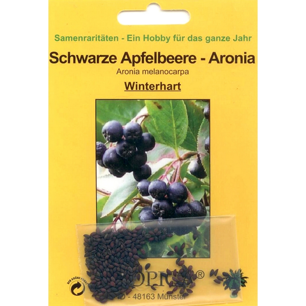 Bonsai - 50 Samen von Aronia melanocarpa, Schwarze Apfelbeere, 90079