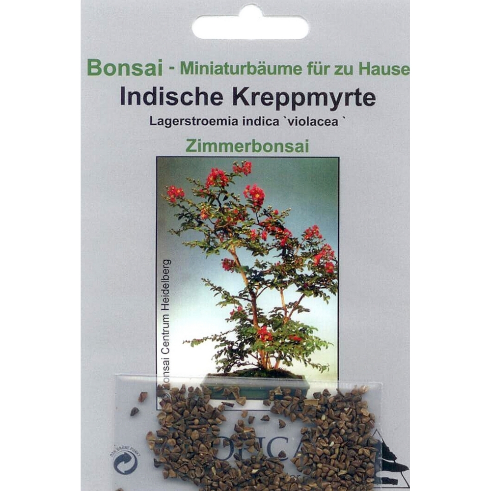 Bonsai - 200 Samen von Indische Kreppmyrte, Lagerstroemia indica 'violacea', 90060