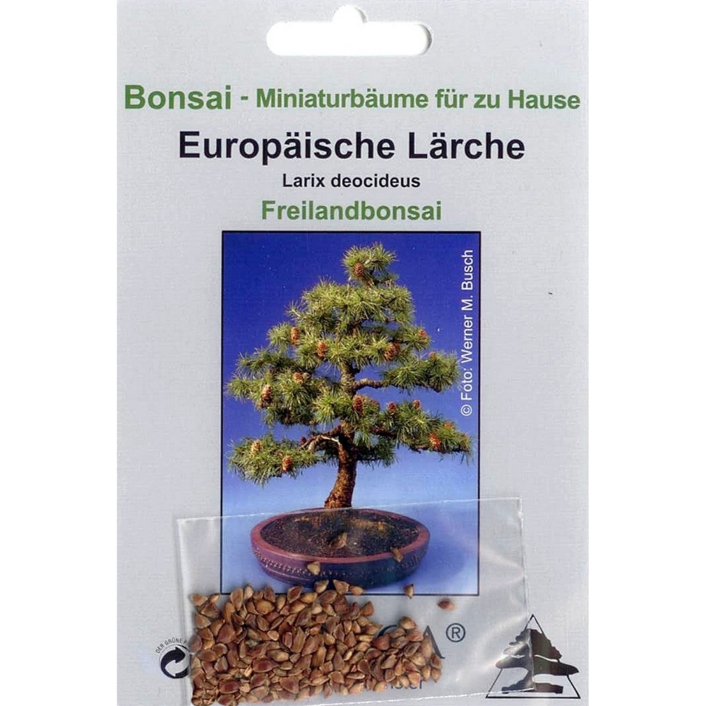 Bonsai - 75 Samen von Larix decidua, europäische Lärche, 90005