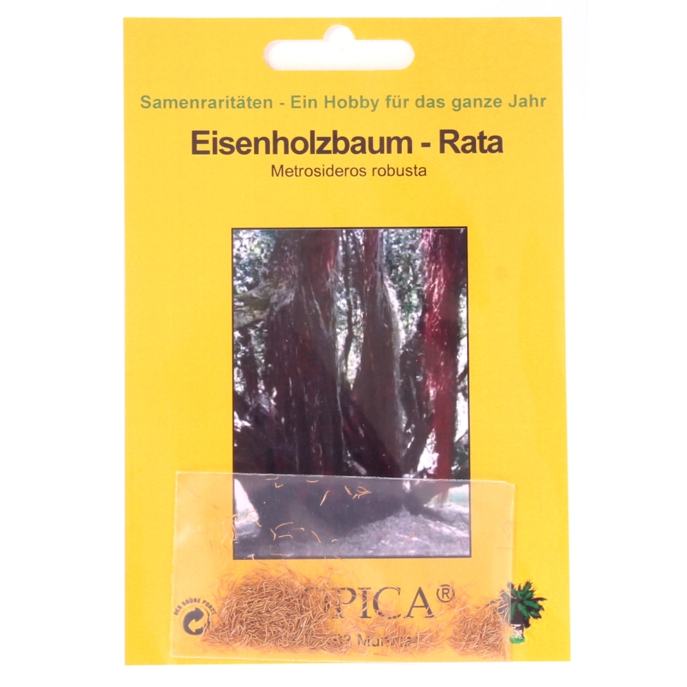 Bonsai -200 Samen Eisenholzbaum, Rata, Metrosideros robusta   90103