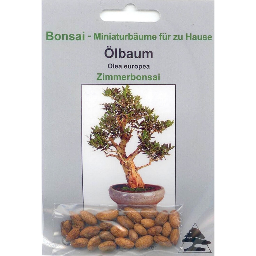 Bonsai - 20 Samen von Olive, Olea europaea, 90024