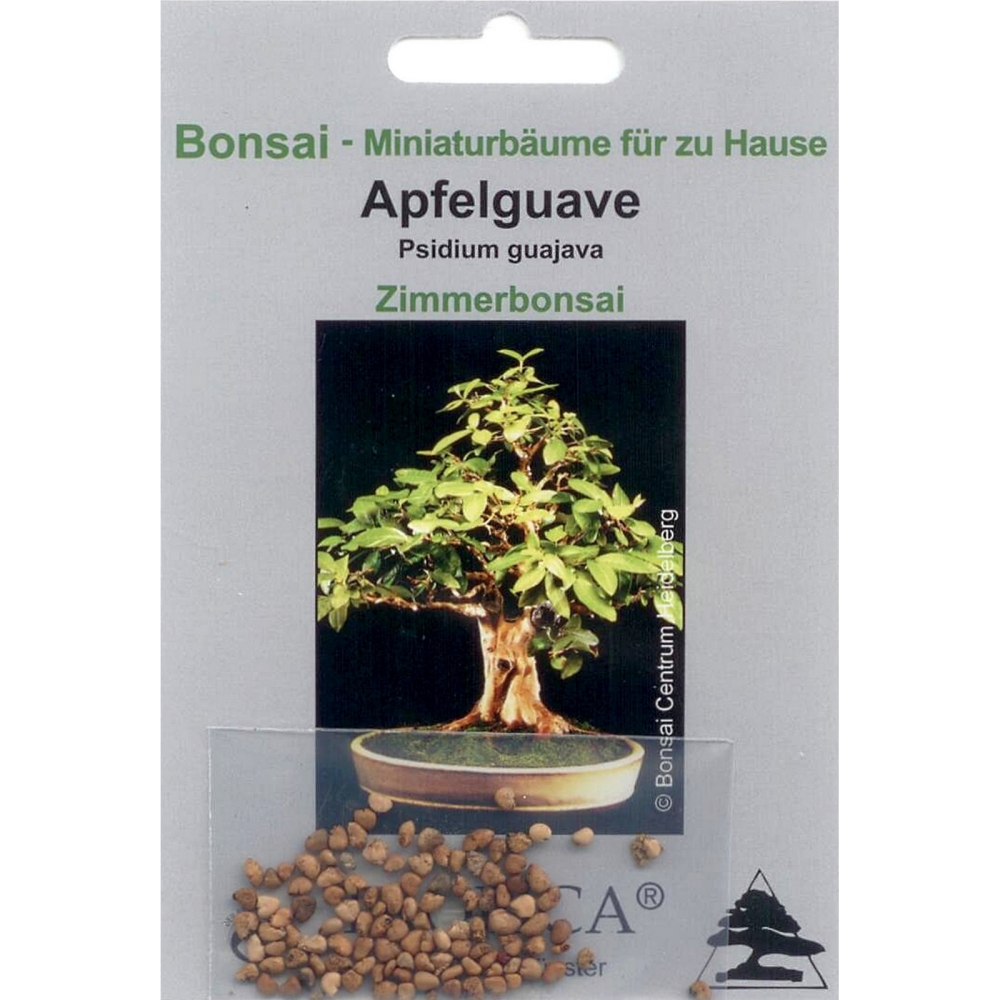 Bonsai - 100 Samen von Apfelguave, Psidium guajava, 90073