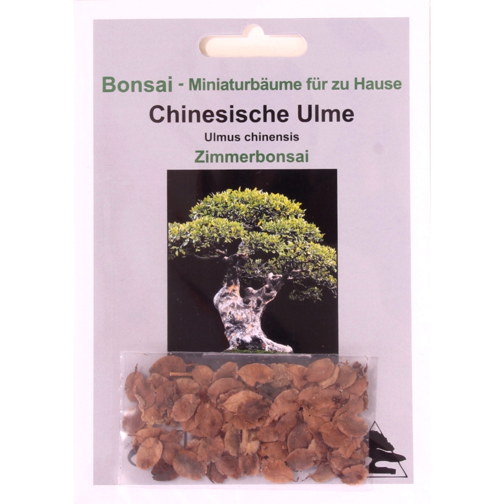 Bonsai - 30 Samen Chinesische Ulme, Ulmus parviflora   90102