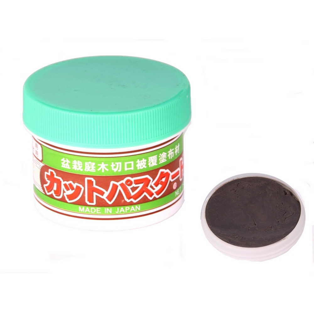 Bonsai - Wundpaste aus Japan für Nadelbäume 190 gr.   61045