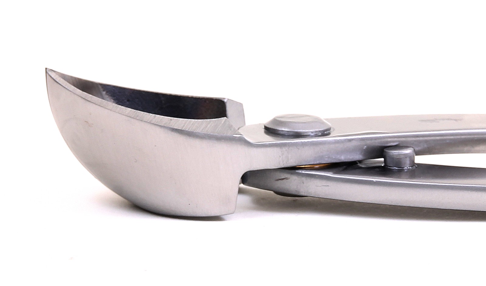 Ryuga BonsaiKonkavzange gerundet 280 mm