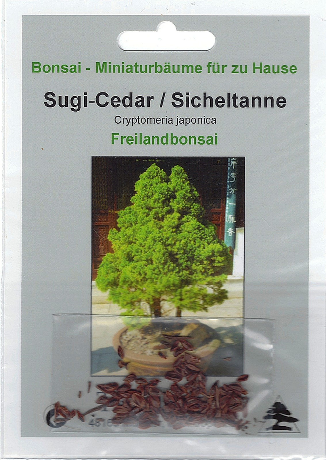 20 Samen s/ Bonsai Japanische Cedar Semillas Bonsai Cryptomeria japonica 