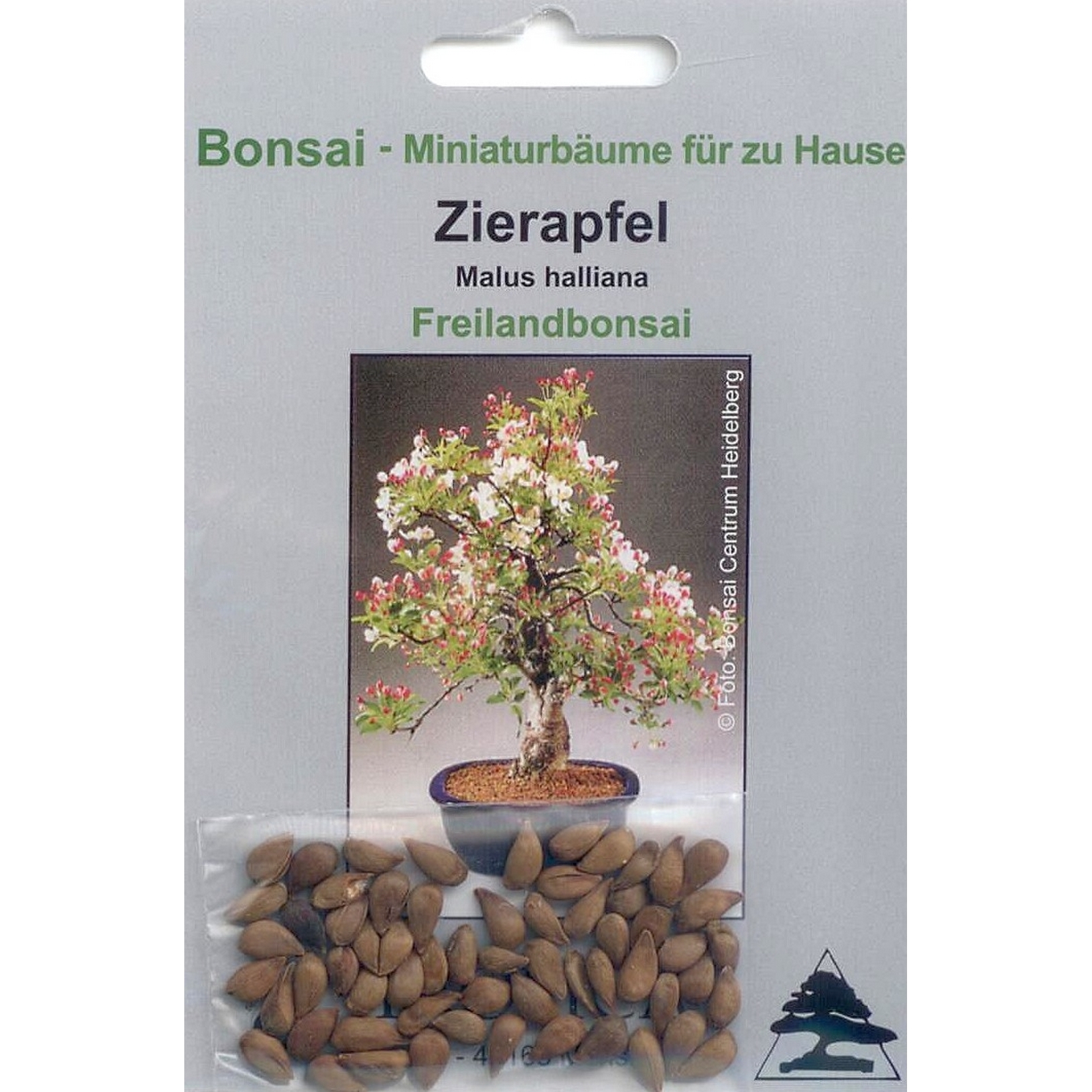 50 Samen von Zierpistazie Bonsai 90063 Pistacia lentiscus 