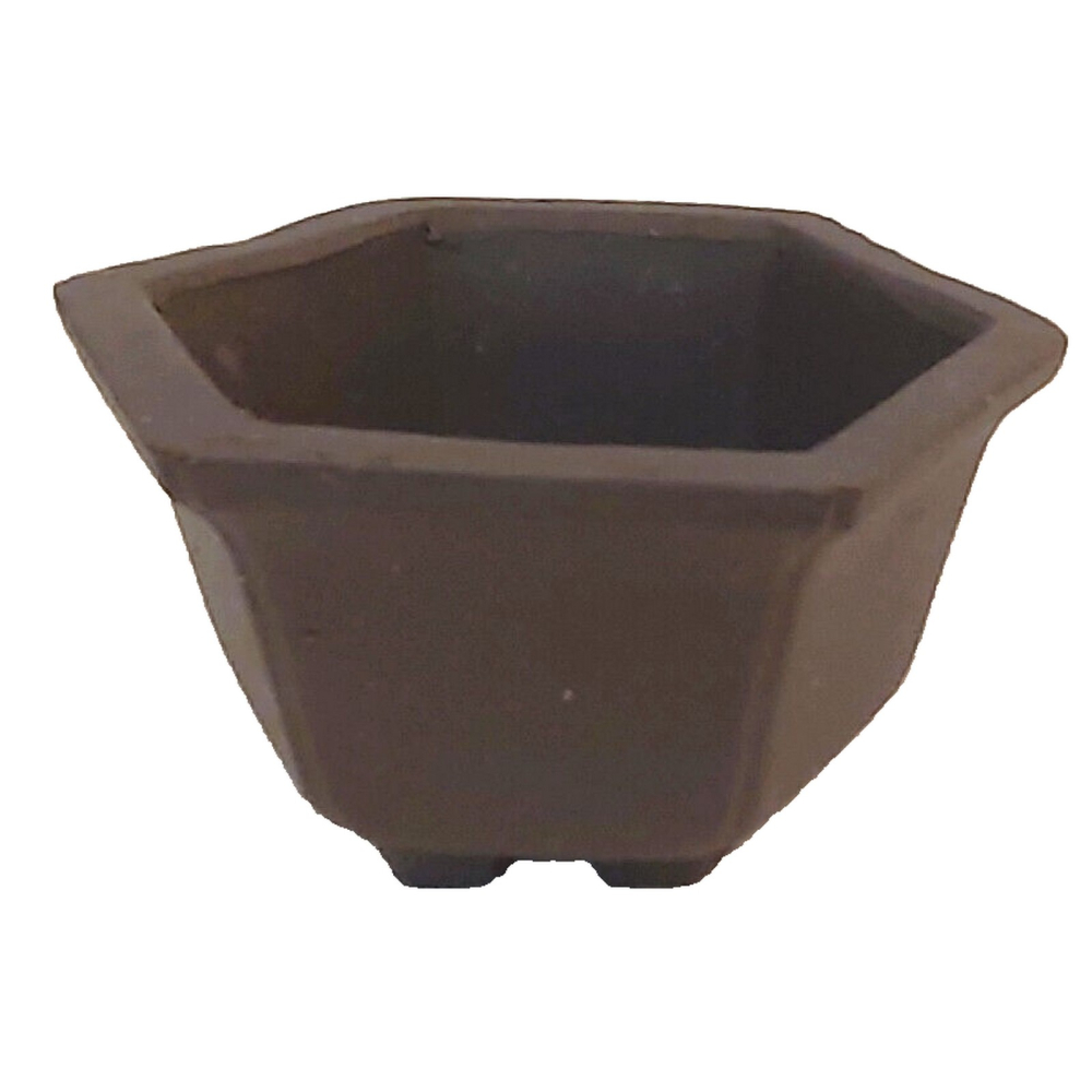 Bonsai - Schale /Mameschale 6 Ø x 3.2 cm 6-eckig dunkelbraun 15010