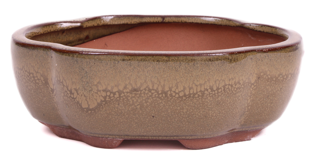 Bonsai - Schale oval 15 x 12 x 5.5 cm hellbraun  15026