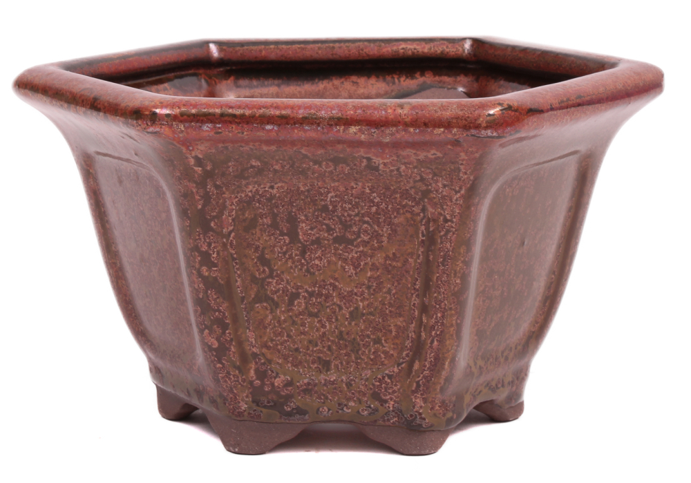 Bonsai - Schale Kaskadenschale 6-eckig 16 Ø x 9.5 cm kupferfarben  15044