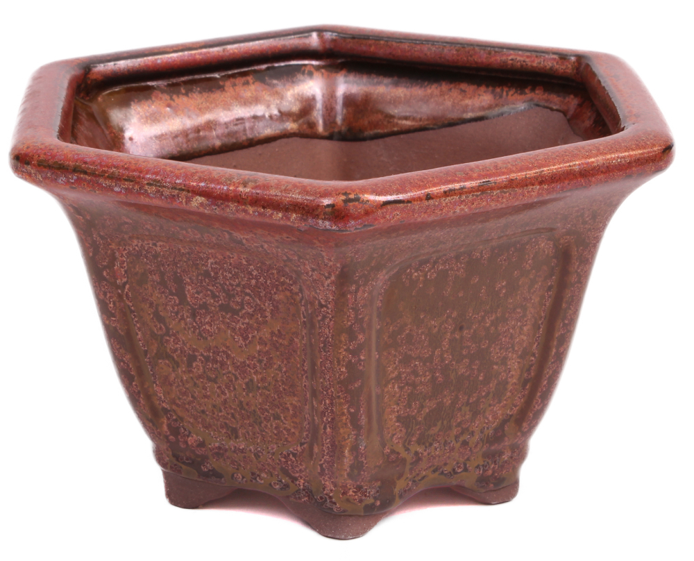 Bonsai - Schale Kaskadenschale 6-eckig 16 Ø x 9.5 cm kupferfarben  15044