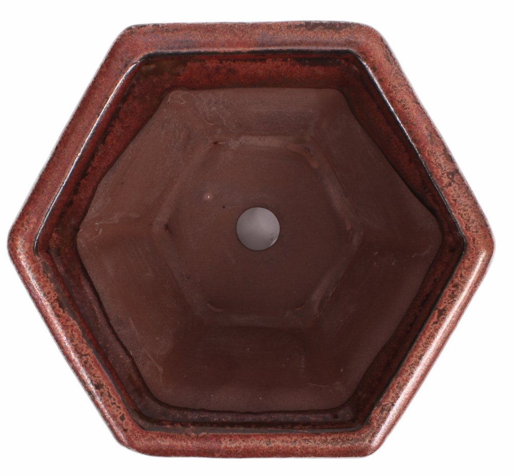 Bonsai - Schale Kaskadenschale 6-eckig 16 Ø x 9.5 cm kupferfarben  15044