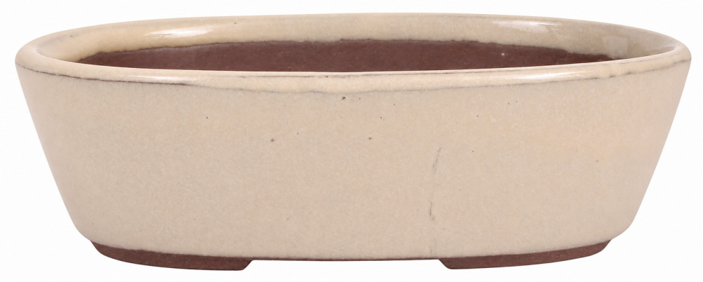 Bonsaischale oval, cremefarben – 15,5 × 11,3 × 4,5 cm – aus Japan – frostfest
