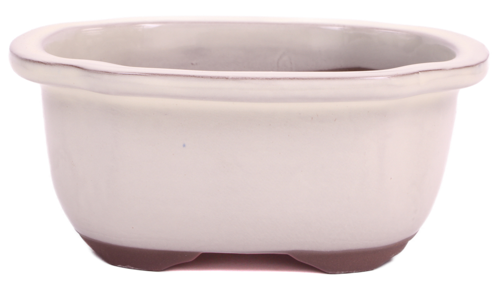 Bonsai - Schale  oval 20 x 16.5 x 8.5 cm frostfest cremefarben aus Japan 22019