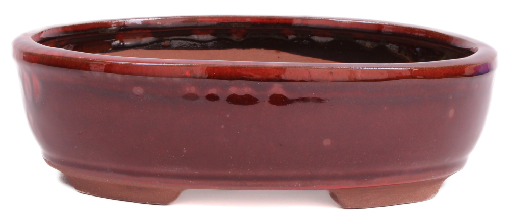 Bonsai - Schale oval 22 x 16.5 x 6.5 cm , rotbraun  22040