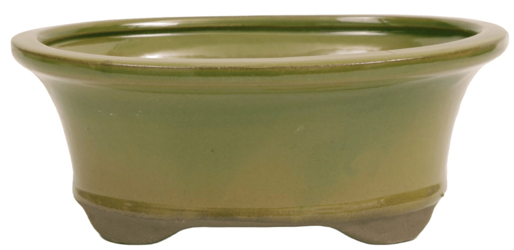 Bonsai - Schale oval 21 x 17.5 x 8.5 cm - grün 22075
