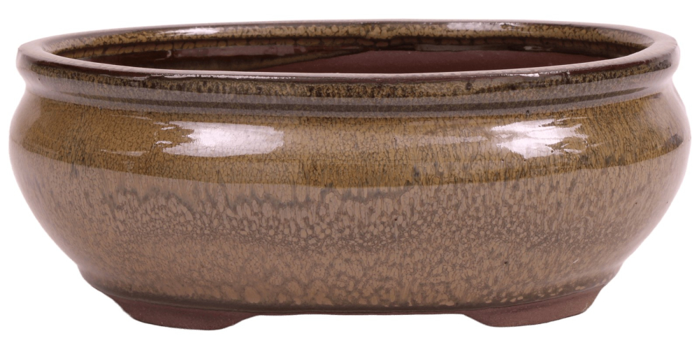 Bonsai - Schale oval 20.5 x 16.5 x 8 cm  hellbraun 22078