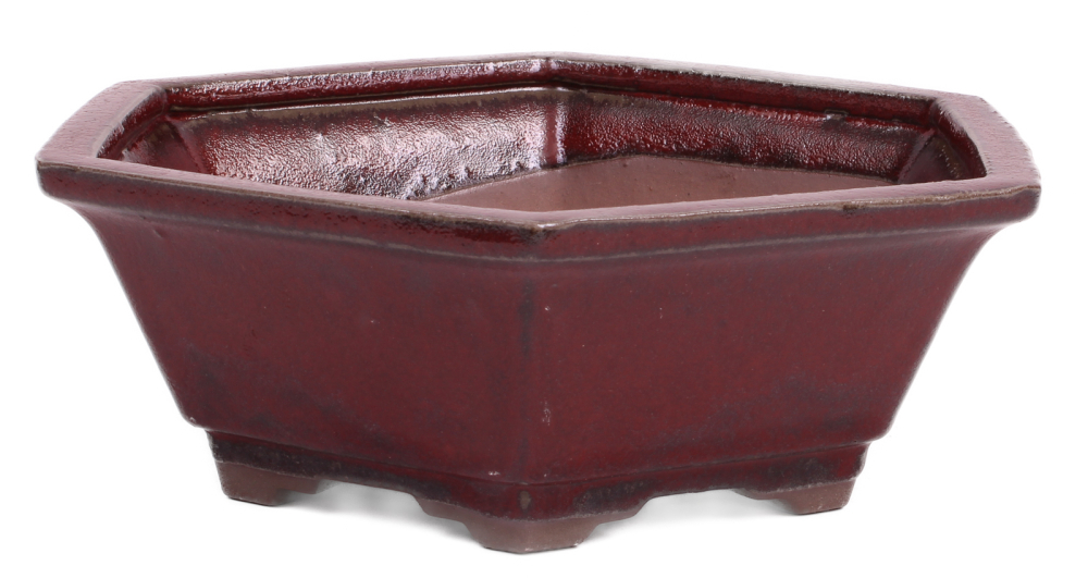 Bonsai - Schale 6-eckig 26.5 Ø x 9 cm bordeaux  22092