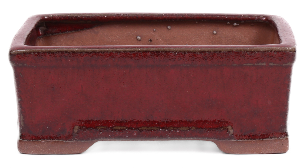 Bonsai - Schale eckig 16 x 12 x 6.5 cm bordeaux  22093