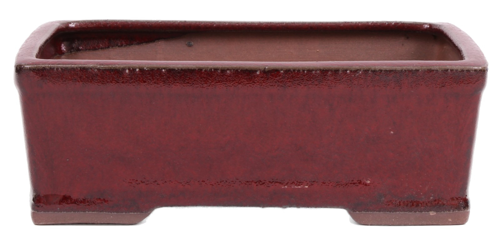 Bonsai - Schale eckig 22 x 16 x 7.5 cm bordeaux  22094