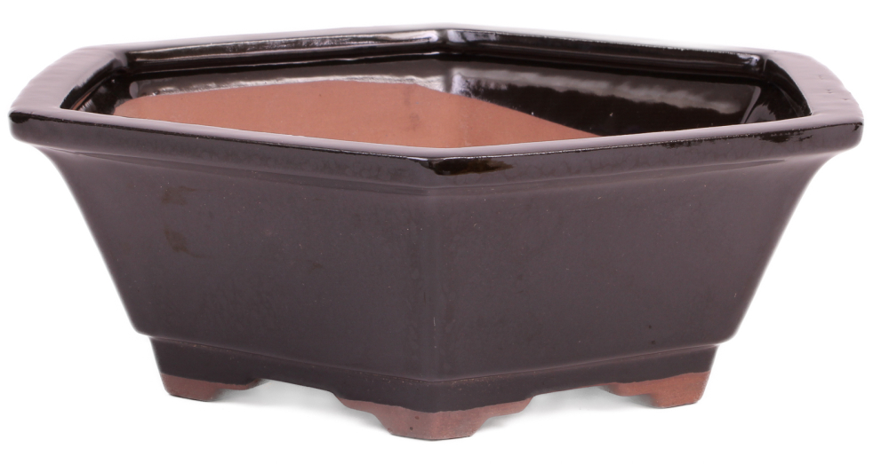 Bonsai - Schale 6-eckig 26.5 Ø x 9 cm schwarz  22104