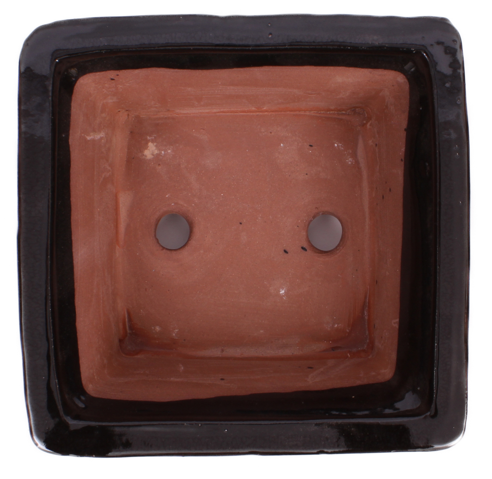 Bonsai - Schale 17.5 x 17.5 x 8.5 cm schwarz  22116