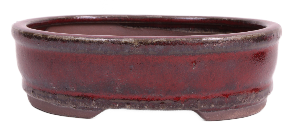 Bonsai - Schale oval 15.5 x 12 x 5 cm bordeaux  22120