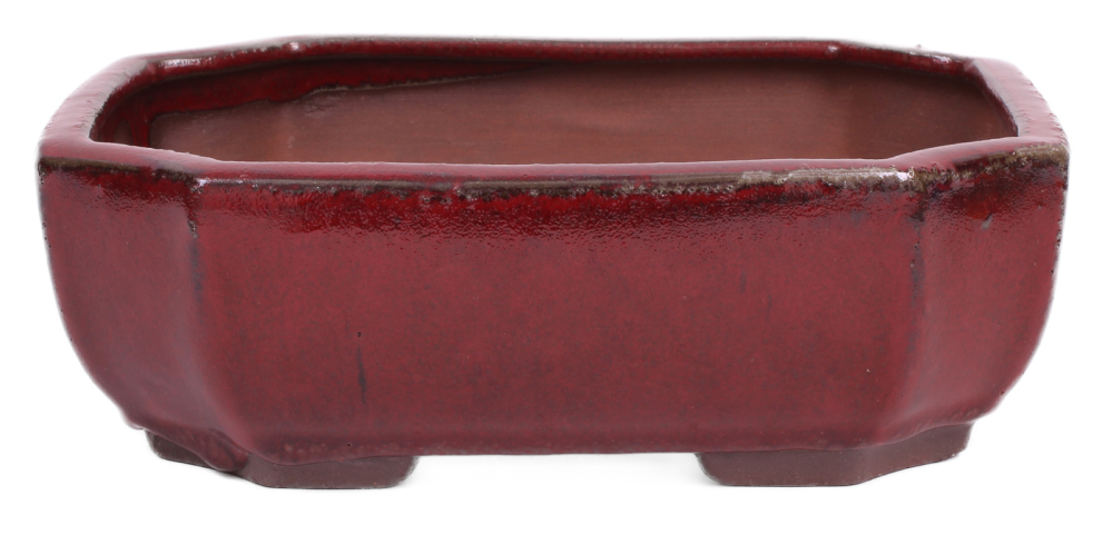 Bonsai - Schale eckig 21 x 16 x 7.3 cm, bordeaux  22124