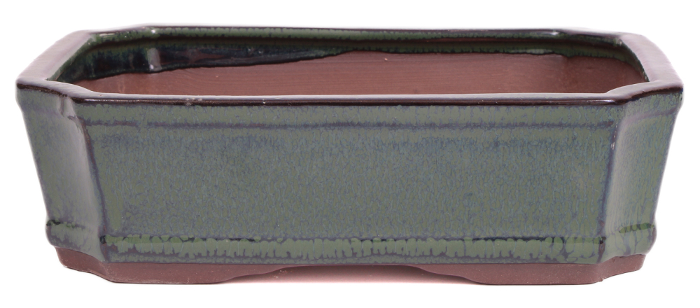 Bonsai - Schale eckig 21.5 x 16 x 6 cm grün   22128