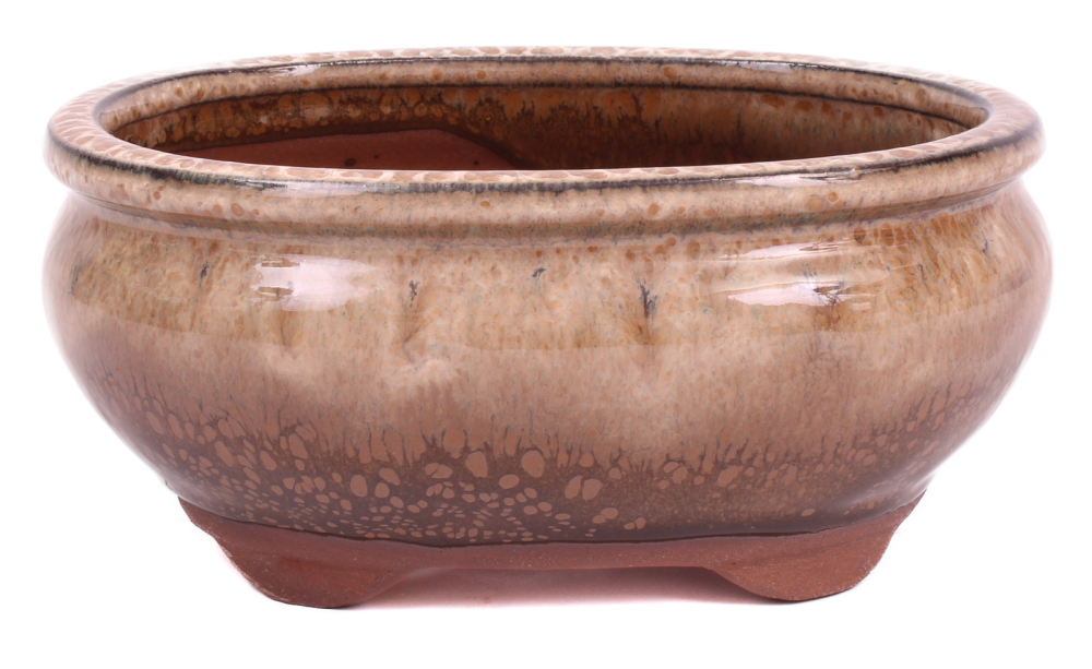 Bonsai - Schale oval 15.5 x 12.5 x 7.3 cm , braun / beige 22134