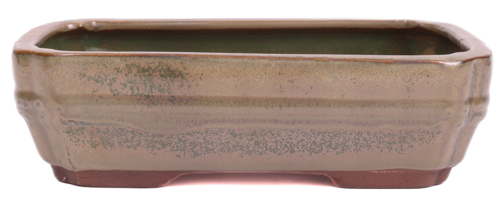 Bonsai - Schale eckig 21.5 x 16 x 6.2 cm oliv  22141