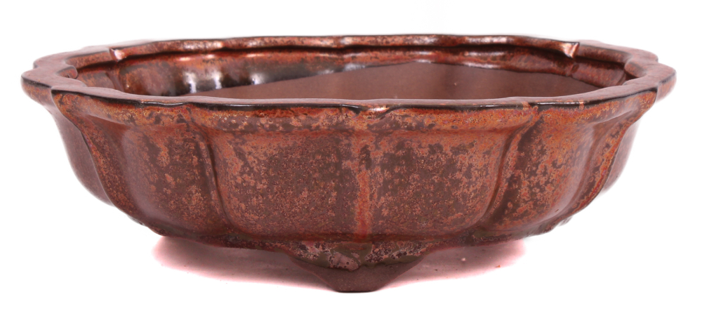 Bonsai - Schale rund 21.5 Ø x 7 cm kupferfarben  22146